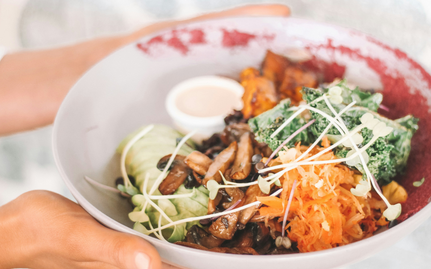 The Link Between Prebiotics and Gut Health