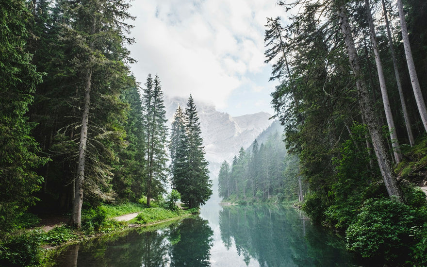 4 Incredible Benefits of Nature That Will Transform Your Health