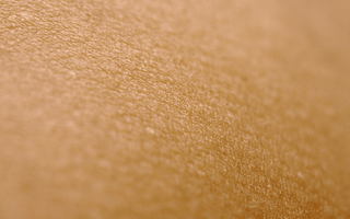 Vitamin C and Collagen: An Essential Step Most People Ignore