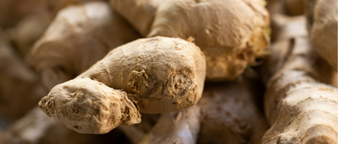 Why Ginger Is a Digestive Powerhouse in Traditional Chinese Medicine