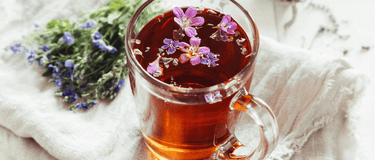 The 5 Plants I Always Keep at Home On a Daily Basis and How I Use Them Daily