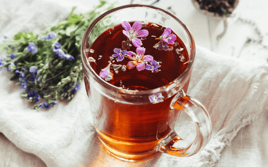 The 5 Plants I Always Keep at Home On a Daily Basis and How I Use Them Daily