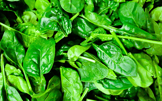 Why Your Gut Bacteria Love Plants More Than Anything Else