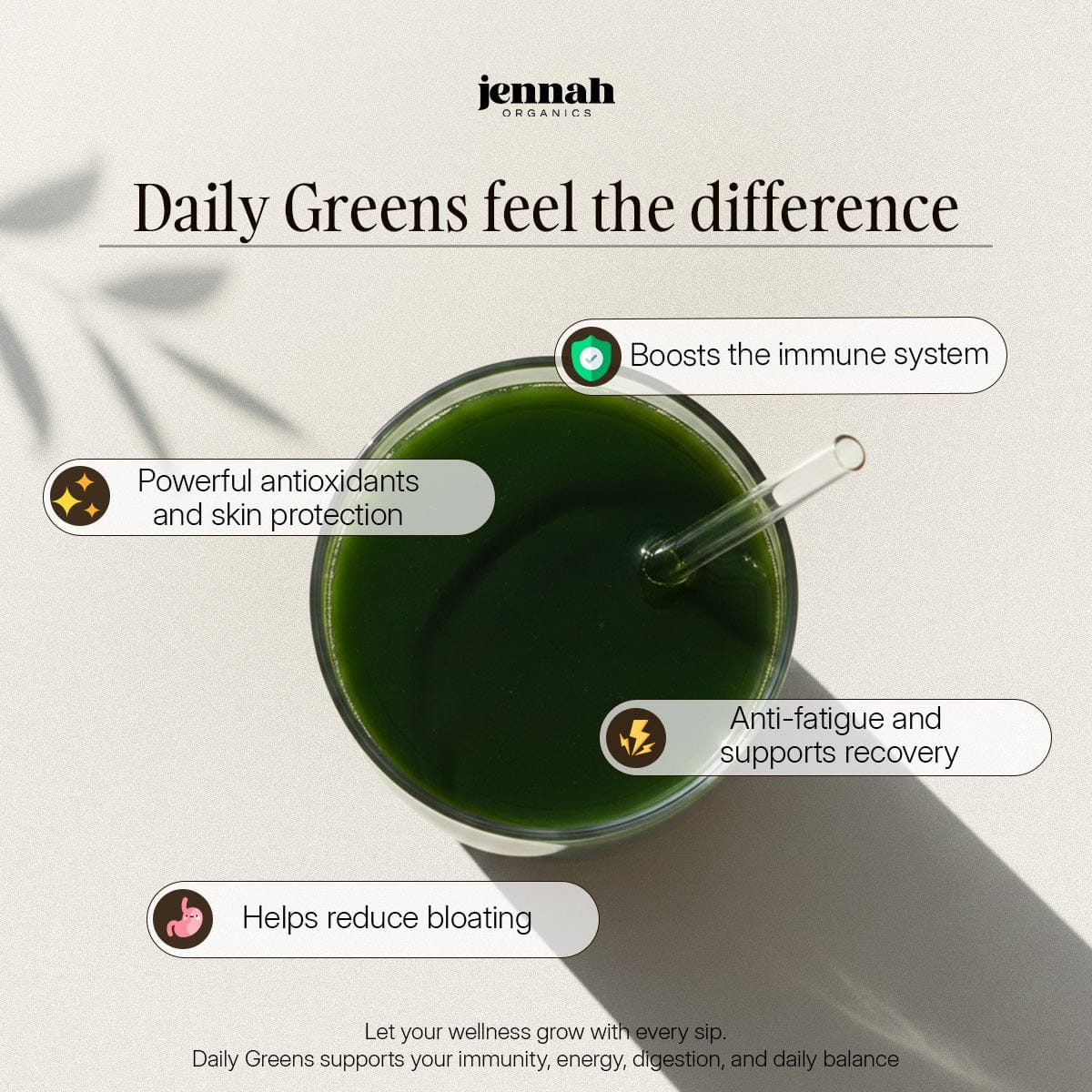 Daily Greens – Plant-Based Supergreens Powder (30 sticks)